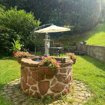 Pension Ernst Im Herzen Des Pfaelzerwaldes Mit Kueche Hotell Elmstein Exteriör bild