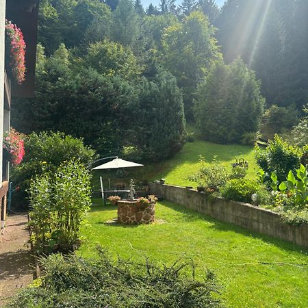 Pension Ernst Im Herzen Des Pfaelzerwaldes Mit Kueche Hotell Elmstein Exteriör bild