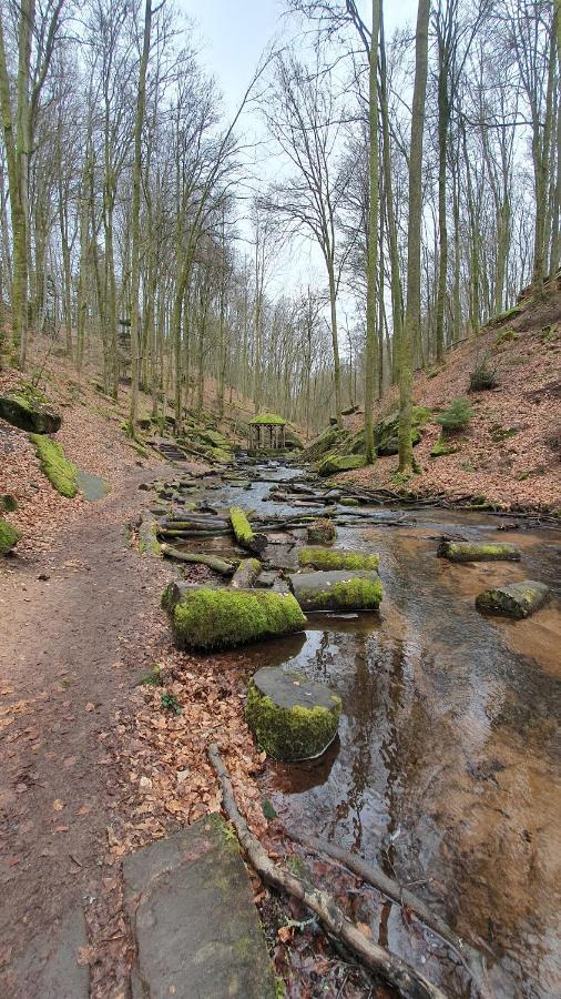 Pension Ernst Im Herzen Des Pfaelzerwaldes Mit Kueche Hotell Elmstein Exteriör bild