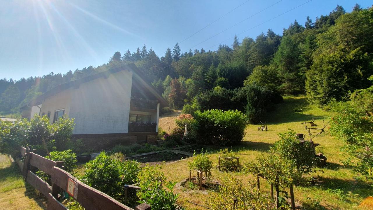 Pension Ernst Im Herzen Des Pfaelzerwaldes Mit Kueche Hotell Elmstein Exteriör bild
