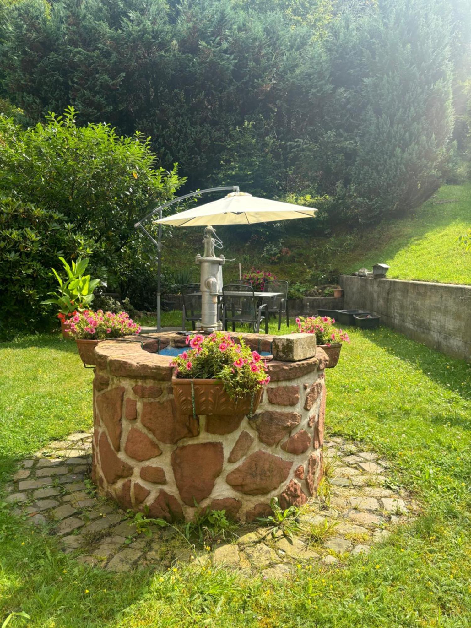 Pension Ernst Im Herzen Des Pfaelzerwaldes Mit Kueche Hotell Elmstein Exteriör bild