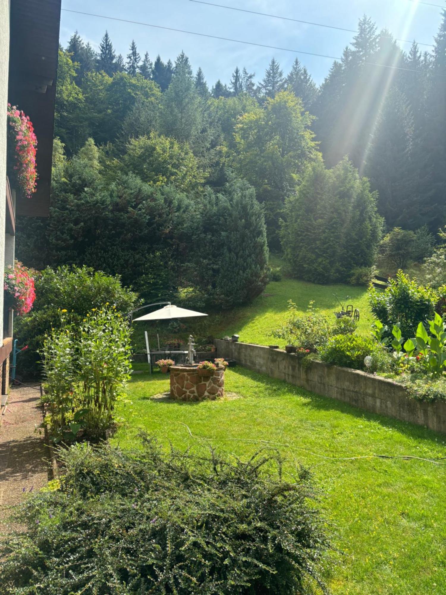 Pension Ernst Im Herzen Des Pfaelzerwaldes Mit Kueche Hotell Elmstein Exteriör bild